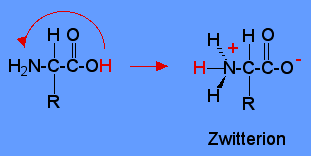 Forme zwitterionique.